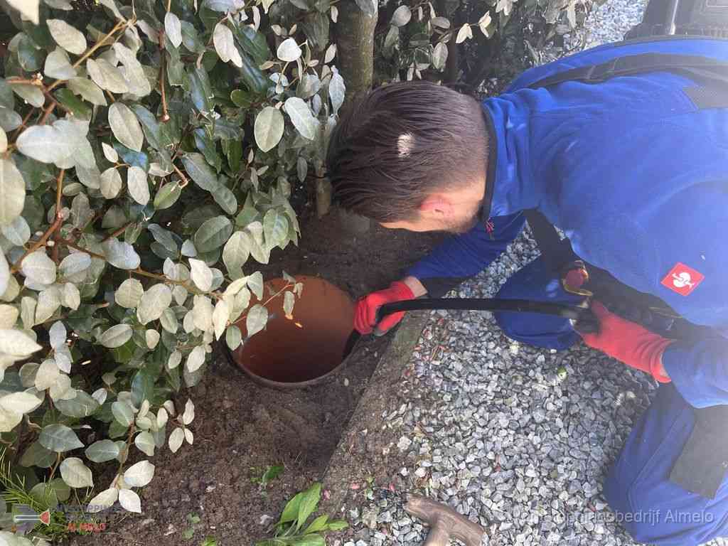 Rioolvliegjes Almelo Rioolvliegjes Almelo